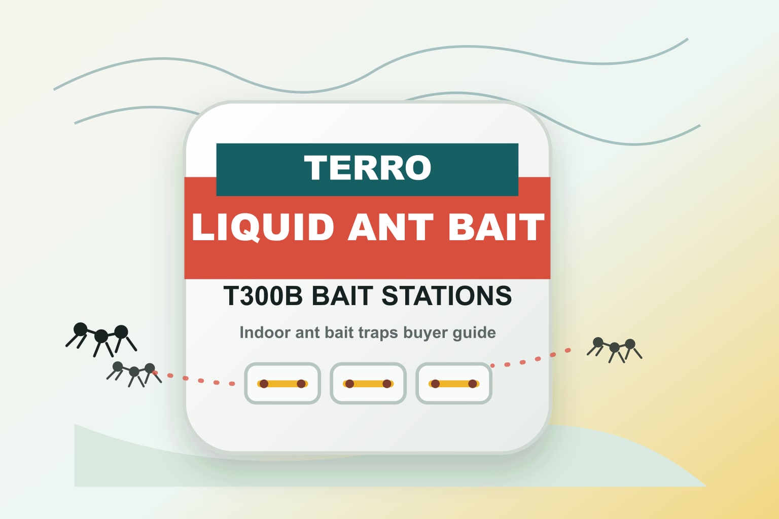 TERRO T300B Liquid Ant Bait Stations Review & Deal Guide